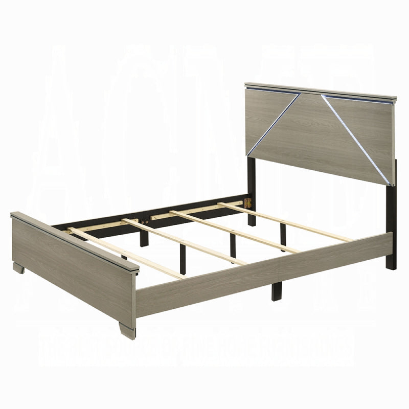 63" Joanna Queen Bed with LED by Acme Furniture - Gray