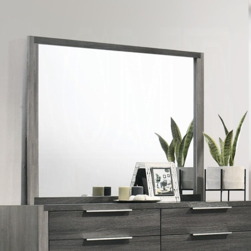 50" Jehoram Mirror by Acme Furniture - Gray