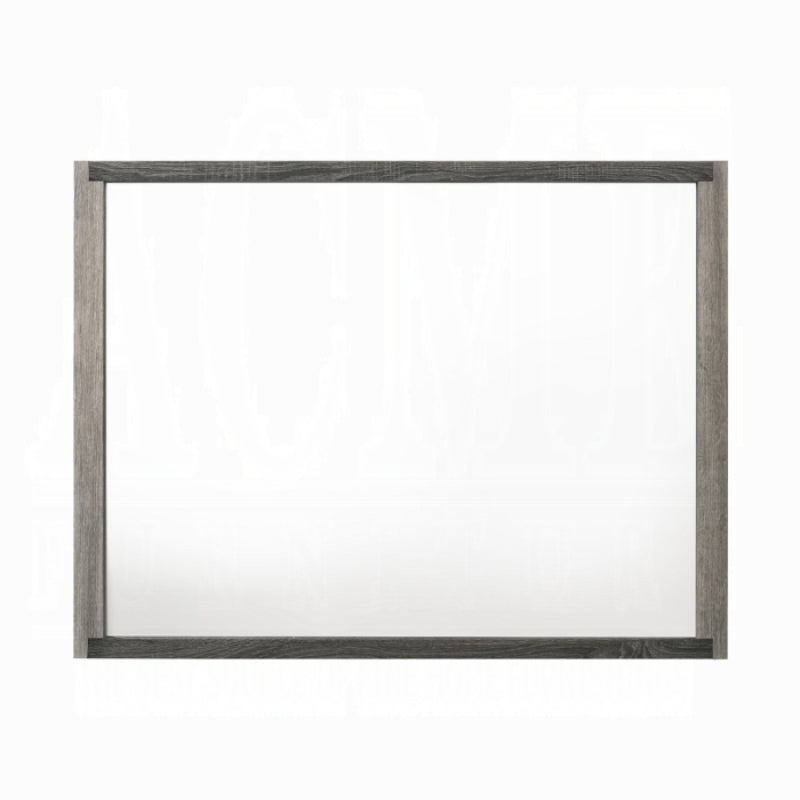 50" Jehoram Mirror by Acme Furniture - Gray