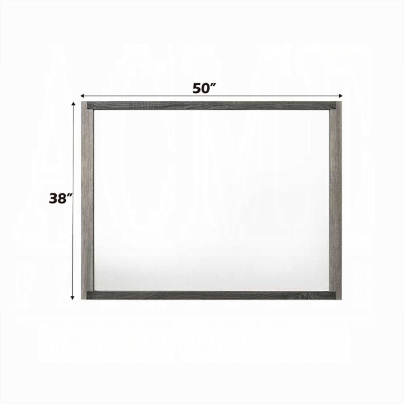 50" Jehoram Mirror by Acme Furniture - Gray