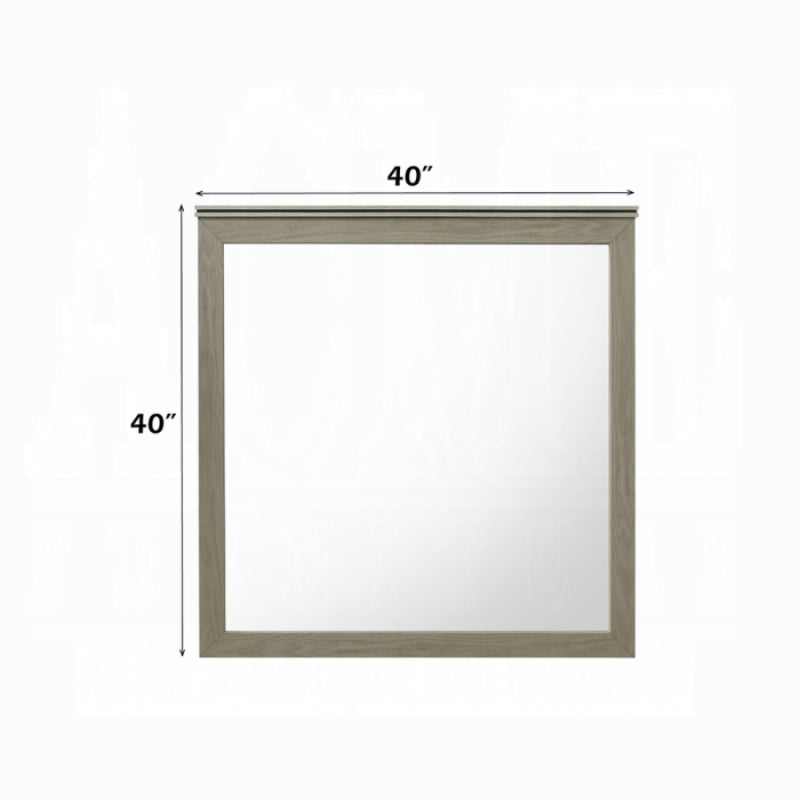 40" Joanna Mirror by Acme Furniture - Gray