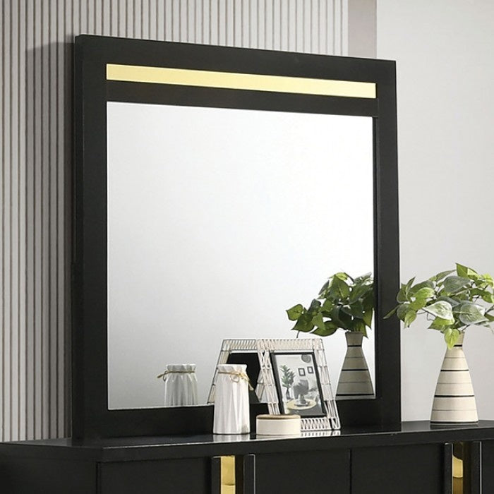 Lille 41" x 40" Mirror by Furniture of America - Black