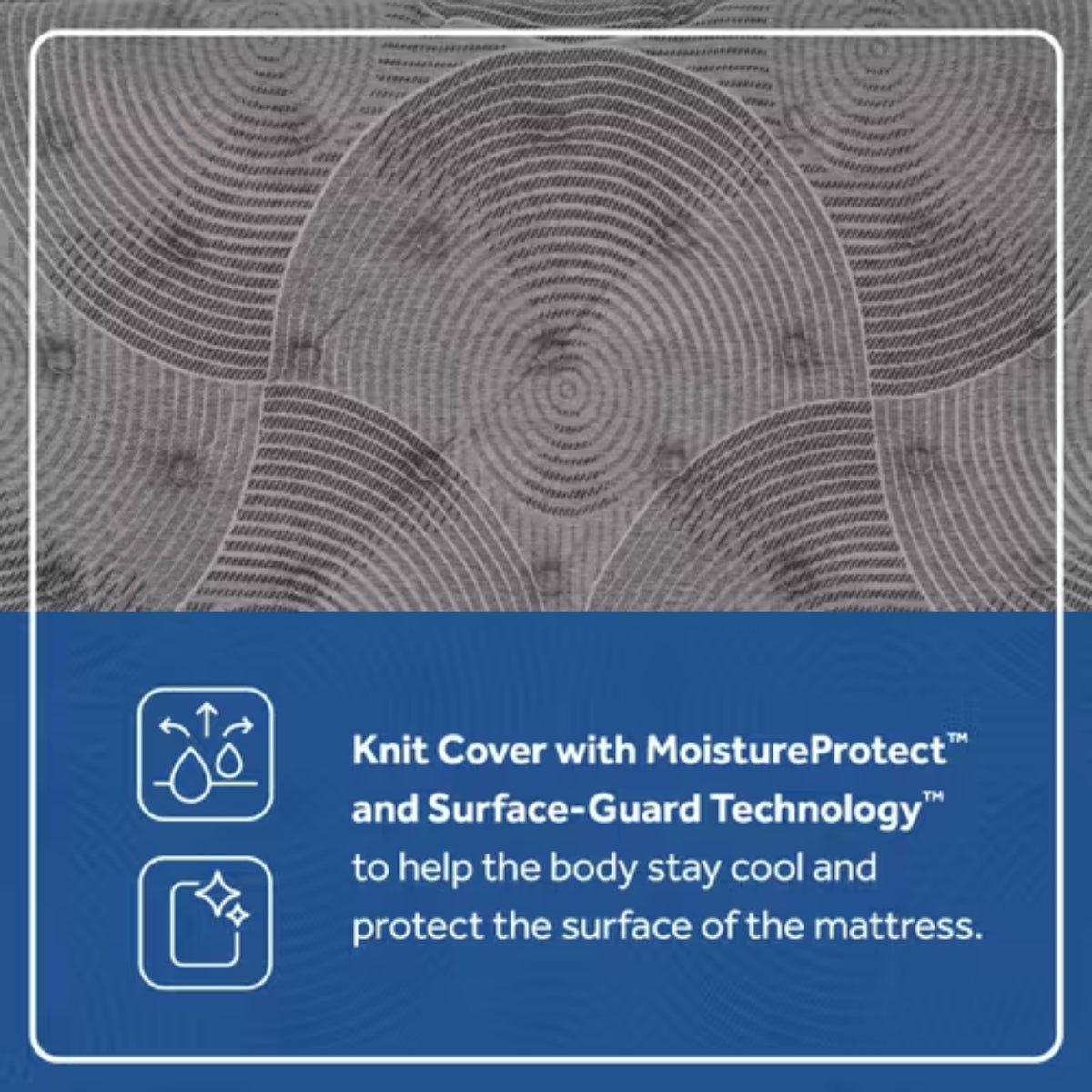 Sealy Moreland Ave 14.5" Soft Tight Top Mattress - Blue/Gray