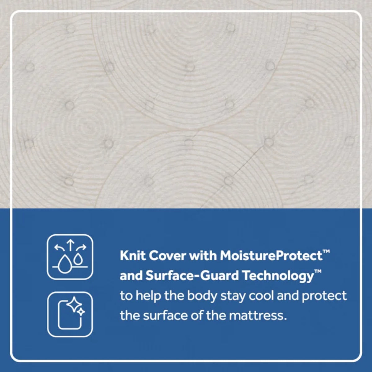 Sealy Dream Waves 14" Soft Euro Pillow Top Mattress- Blue/White