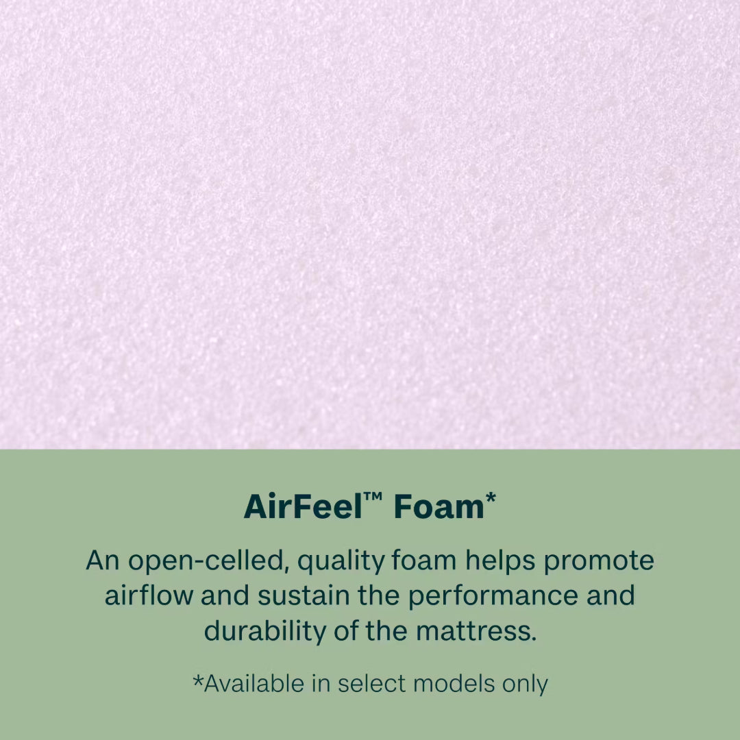 Beautyrest Dream Weaver 14.25" Ultra Plush Pillow Topm - Gray