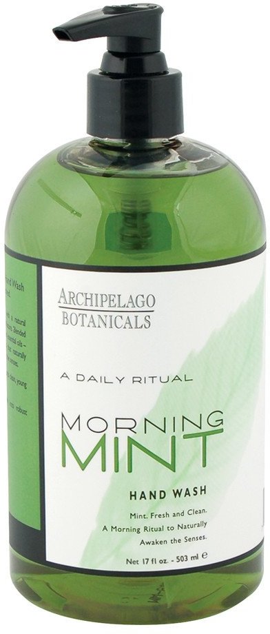 ARCHIPELAGO MORNING MINT 17oz HAND WASH