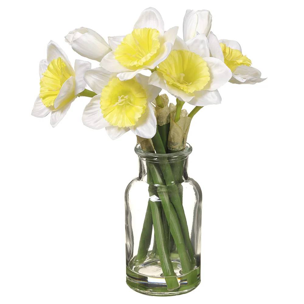 Allstate Floral 10" Daffodil Flower Arrangement with Glass Vase - White