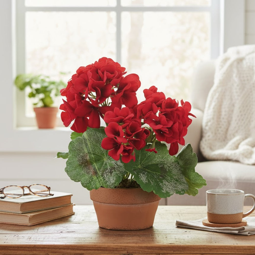 Allstate Floral 9" Geranium Flower Arrangement with Terra Cotta Pot - Red