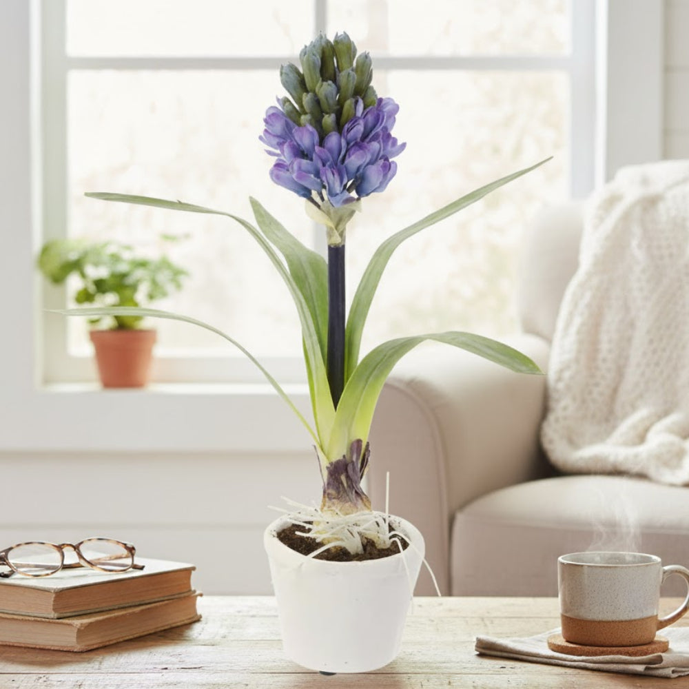 Allstate Floral 12" Hyacinth Bulb Flower Arrangement with Magnesium Oxide Pot - Blue