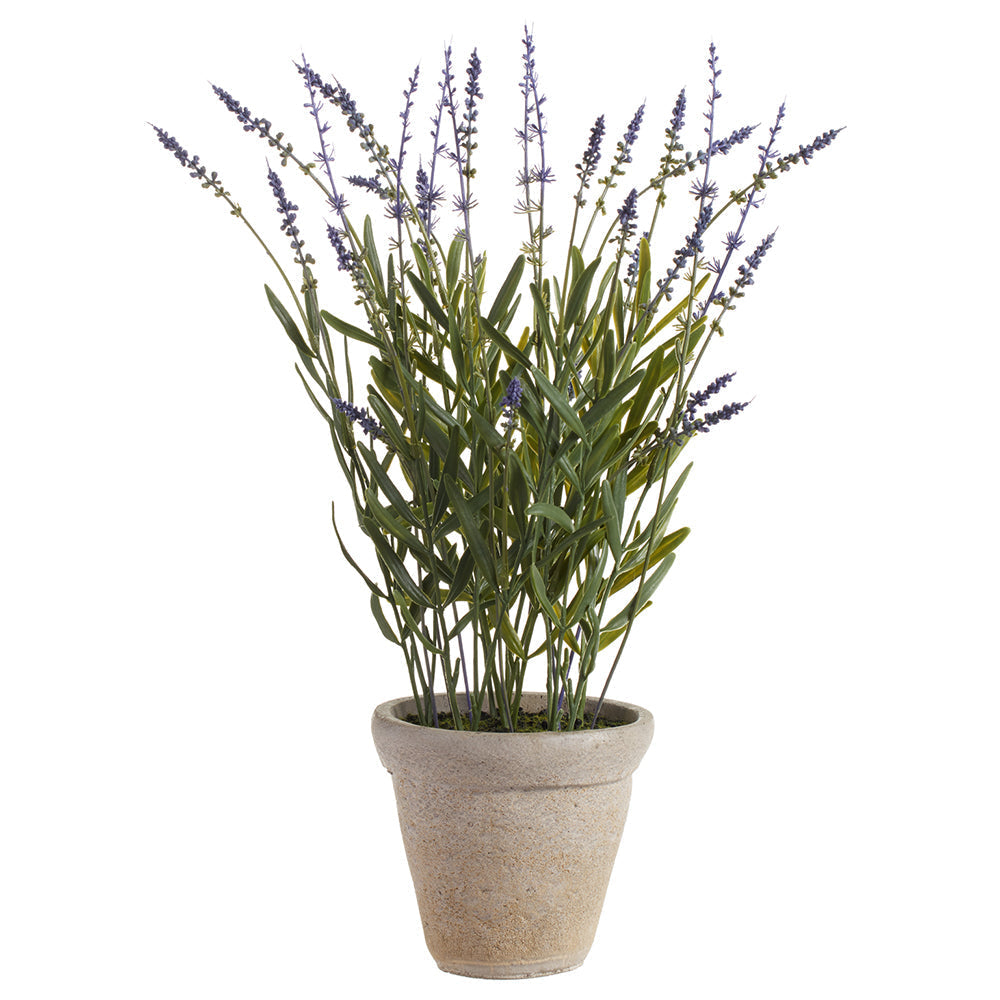 Allstate Floral 21" Lavender Flower Arrangement with Cement Pot - Purple