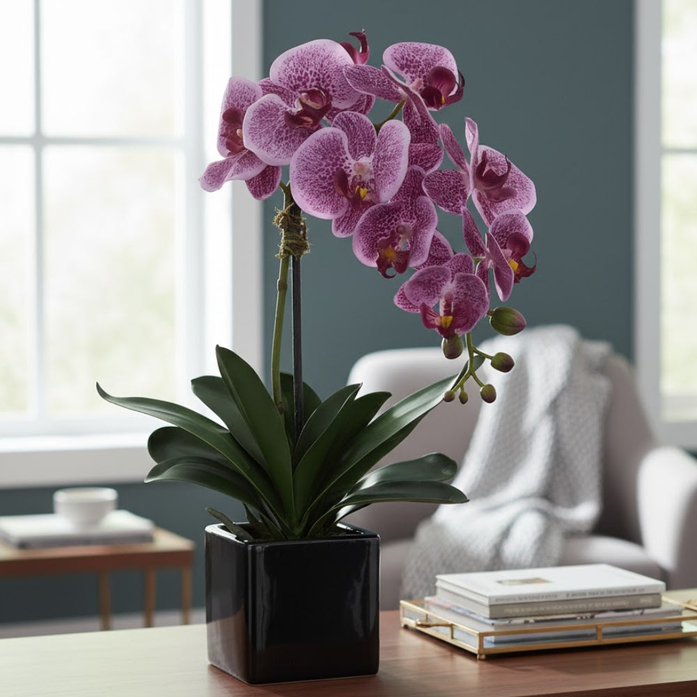 Allstate Floral 20" Phalaenopsis Orchid Flower Arrangement with Ceramic Pot - Purple