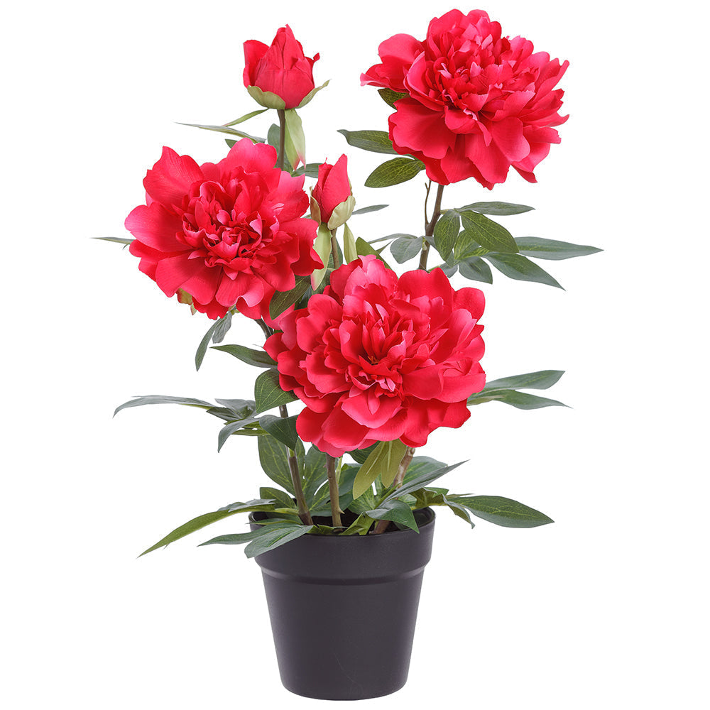 Allstate Floral 20.5" Peony Flower Arrangement with Plastic Pot - Red
