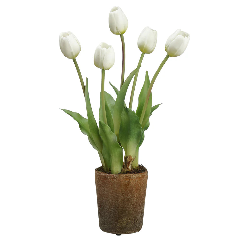 Allstate Floral 15.5" Tulip and Bulb Flower Arrangement with Cement Pot - White