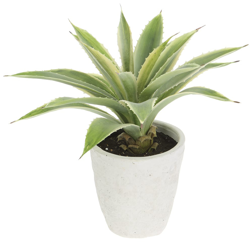 Allstate Floral 16" Agave Artificial Plant with Cement Pot - Green/Cream