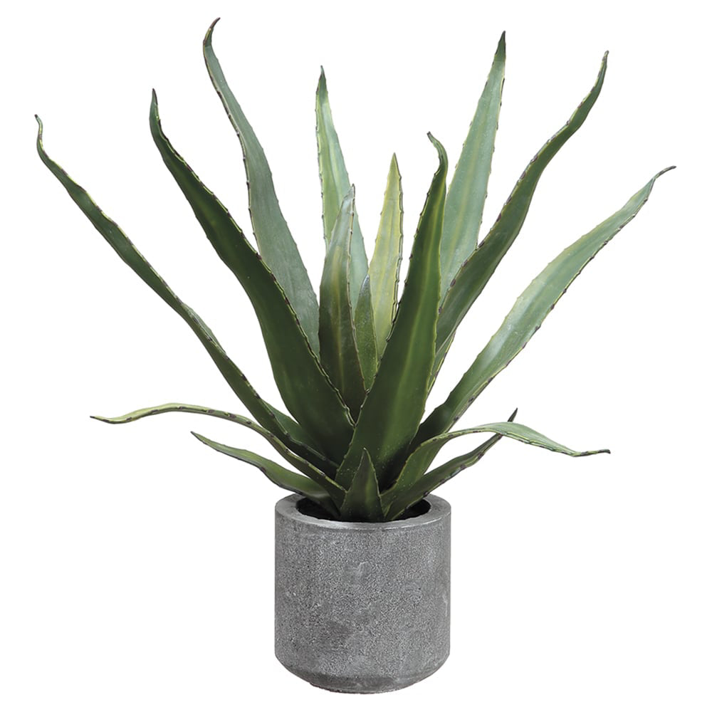Allstate Floral 19" Agave Artificial Plant with Cement Vase - Green