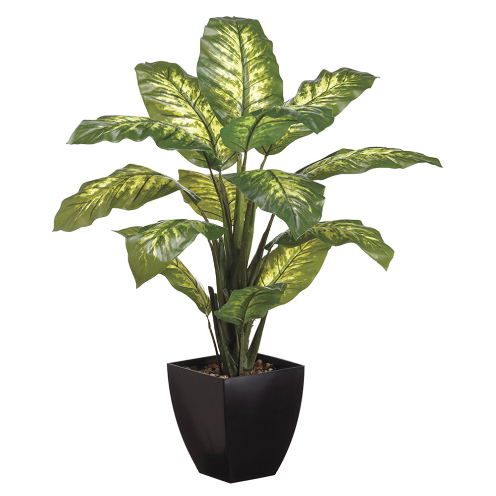 Allstate Floral 40" Dieffenbachia Plant with Plastic Vase - Green