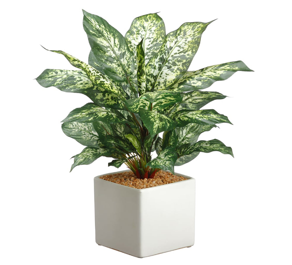 Allstate Floral 17.5" Dieffenbachia Plant with Ceramic Vase - Green