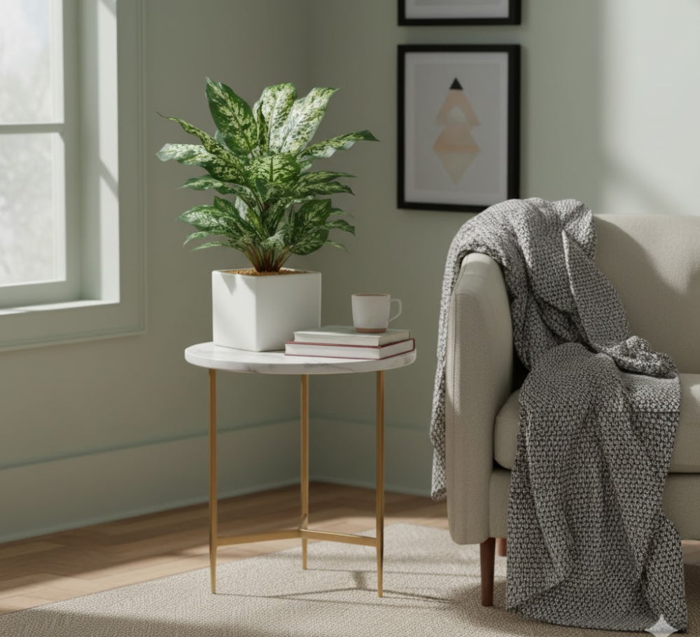 Allstate Floral 17.5" Dieffenbachia Plant with Ceramic Vase - Green