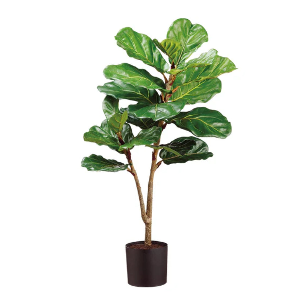 Allstate Floral 40" Fiddle Leaf Fig Plant with Plastic Pot - Green