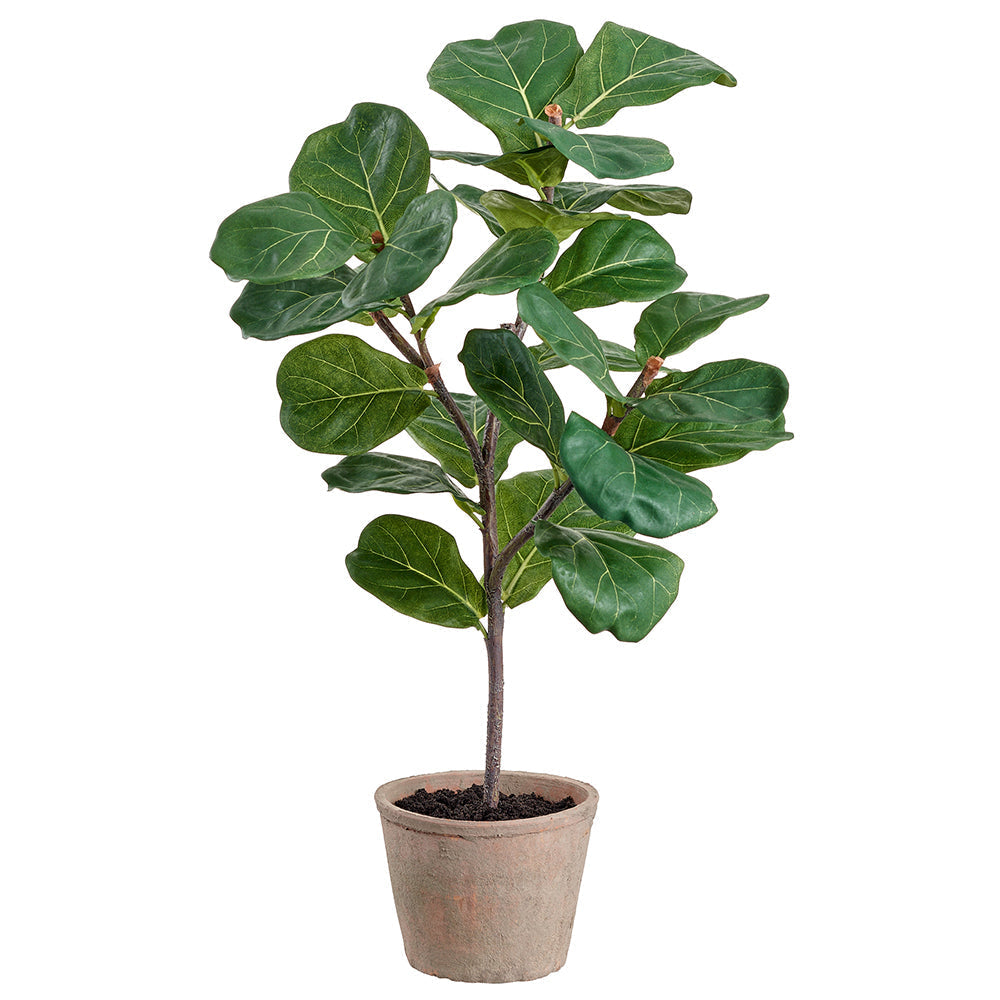 Allstate Floral 25" Fiddle Leaf Fig Tree with Clay Vase - Green