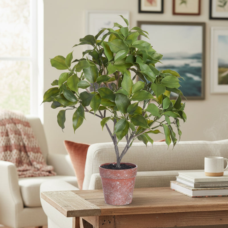 Allstate Floral 15.5" Pomelo Leaf Plant with Plastic Pot - Green