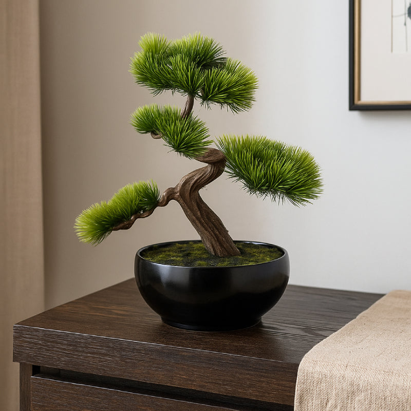 Allstate Floral 11" Black Pine Bonsai Plant with Plastic Pot - Green
