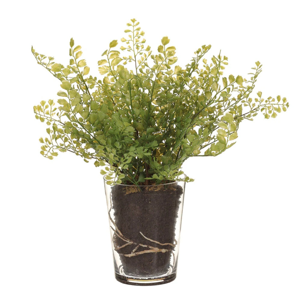 Allstate Floral 15" Maidenhair Fern Leaf Artificial Plant with Glass Vase - Green