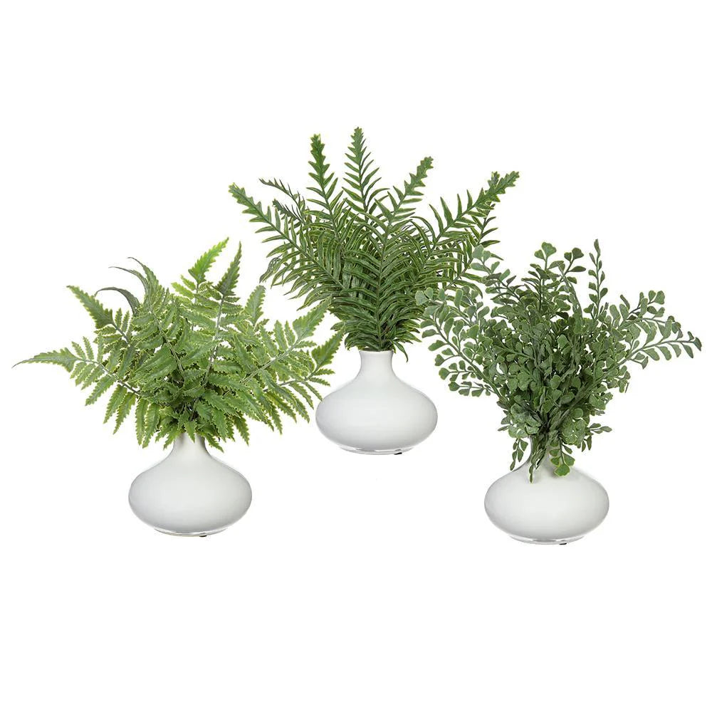 Allstate Floral 11.5" Fern with Ceramic Vase - White/Green