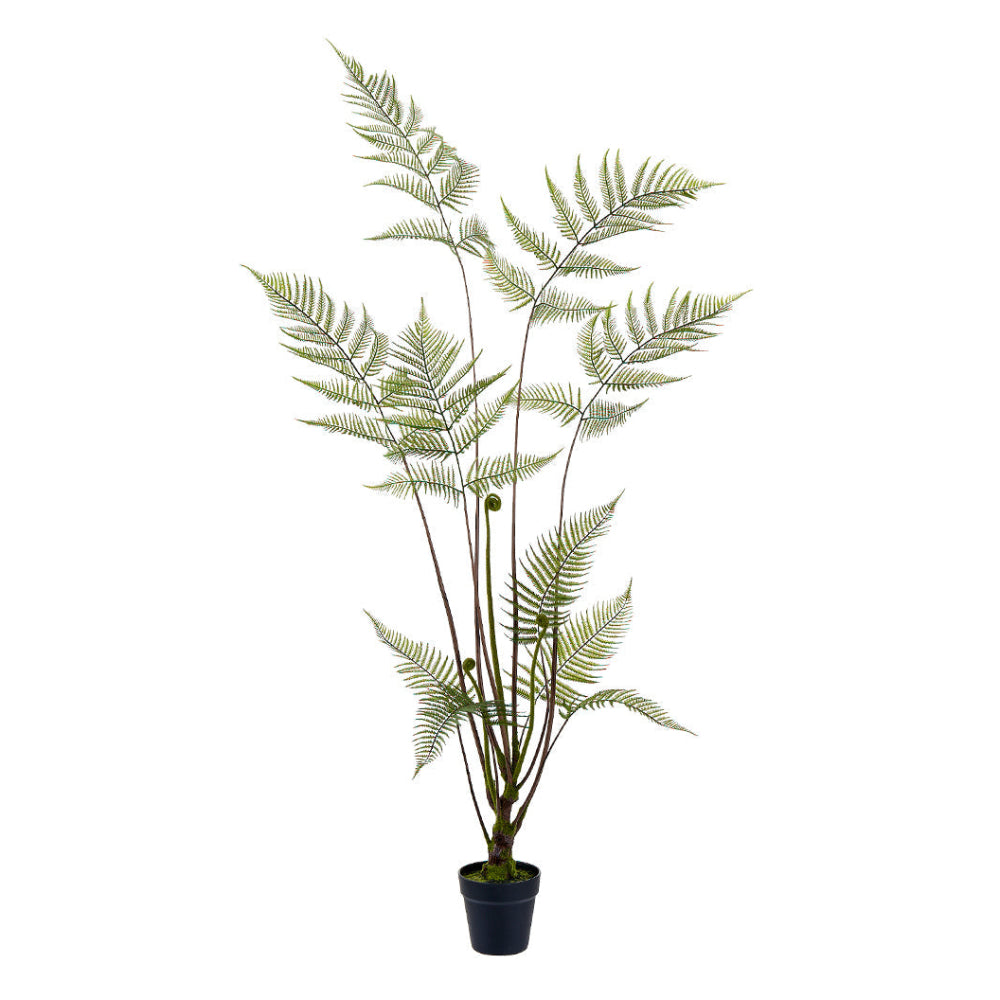 Allstate Floral 58" Woolly Fern Artificial Leaf Plant with Plastic Vase - Green