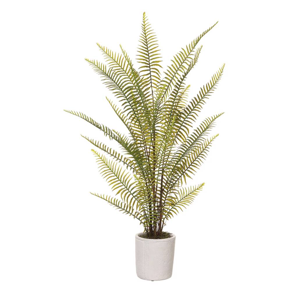 Allstate Floral 36" Sword Fern Leaf with Magnesium Oxide Pot - Green