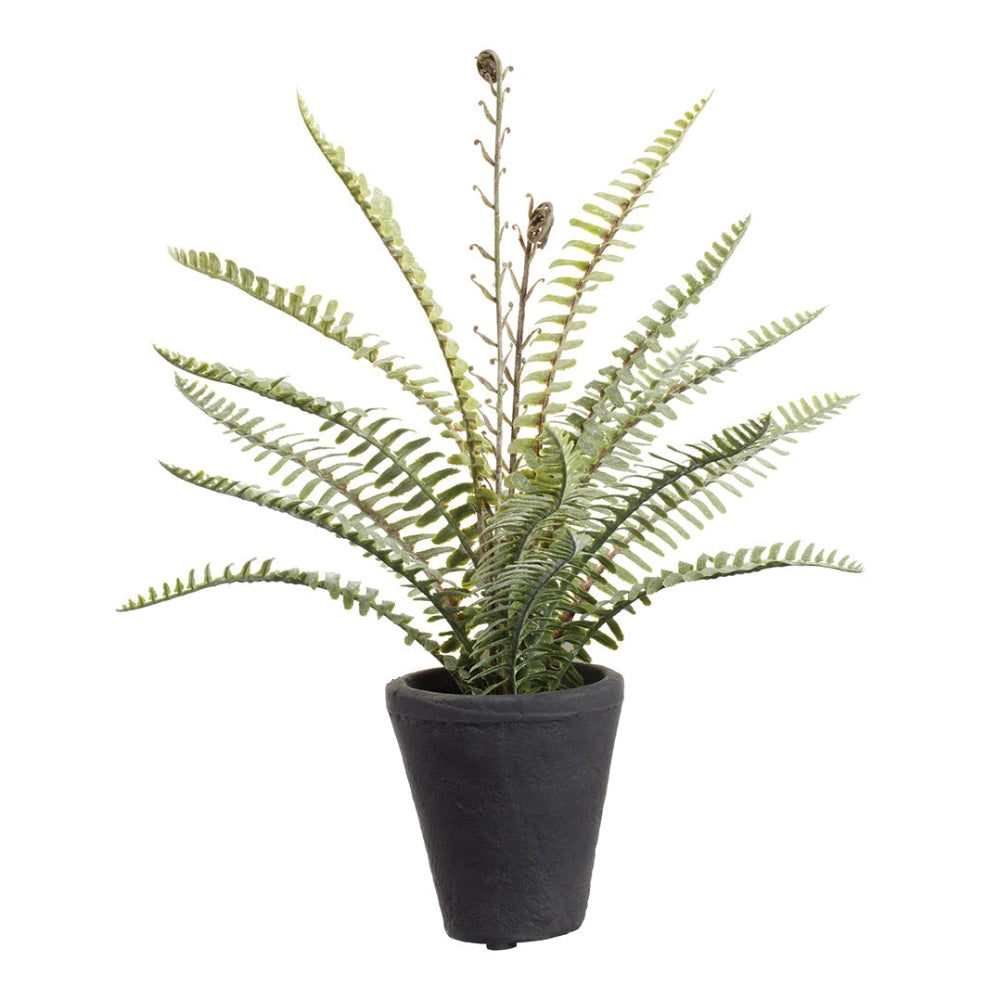 Allstate Floral 14" Soft-Touch Woodland Fern Leaf Artificial Plant with Cement Vase - Green/Gray