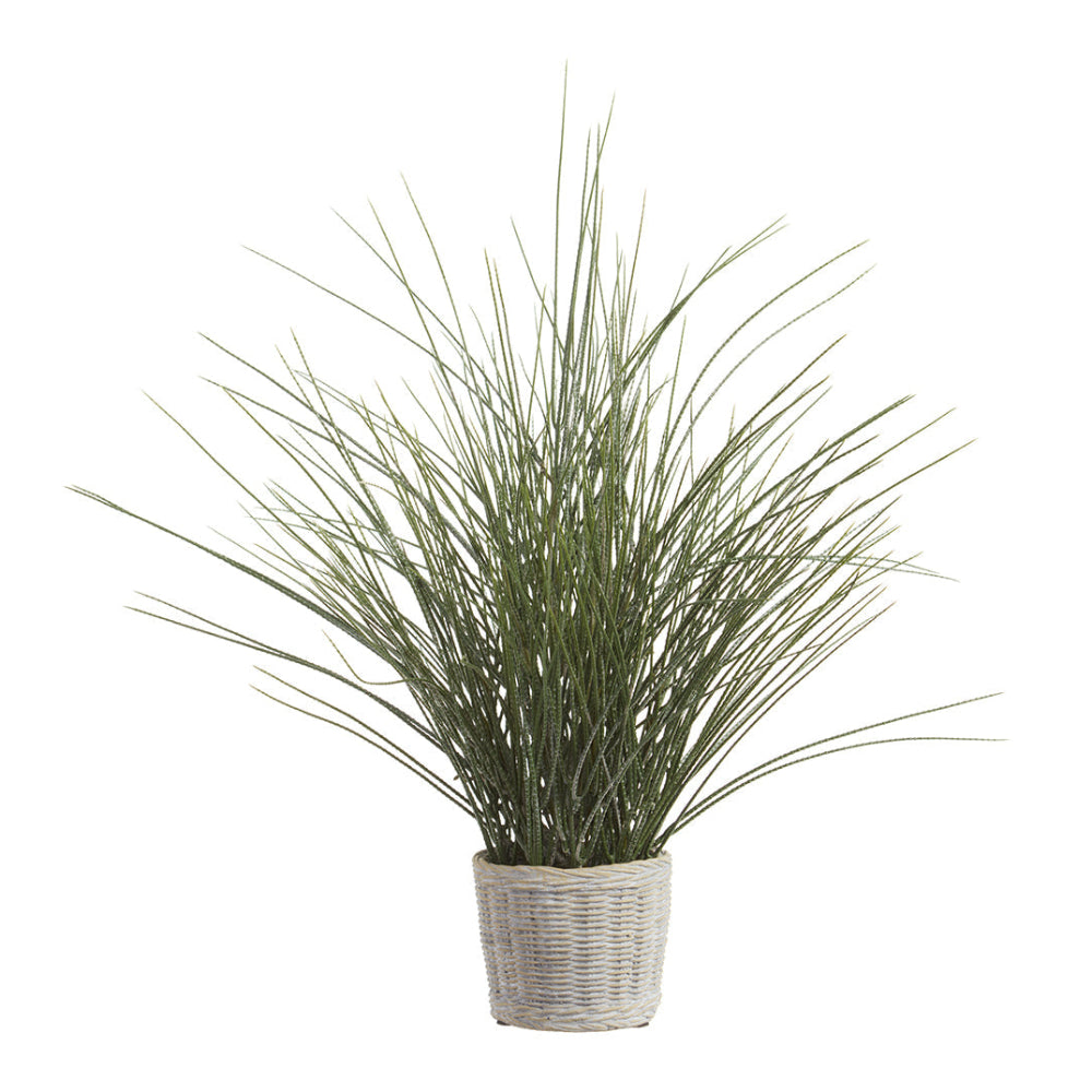 Allstate Floral 24" Grass Artificial Plant with Cement Vase - Green
