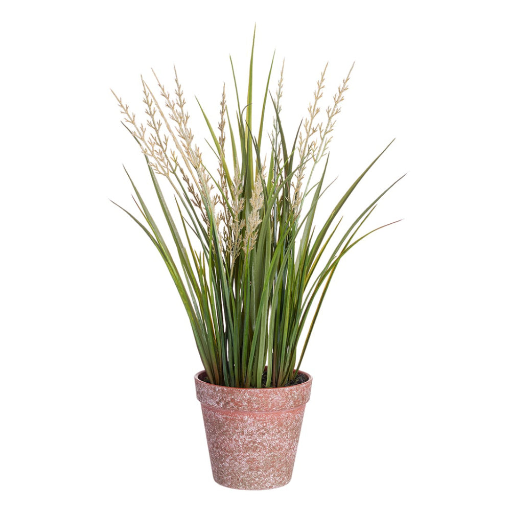 Allstate Floral 16" Blooming Grass Artificial Plant with Plastic Vase - Beige/Green