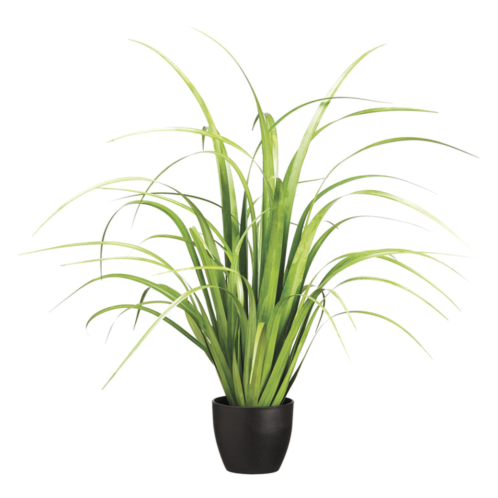 Allstate Floral 33" Reed Grass Artificial Plant with Plastic Vase - Green