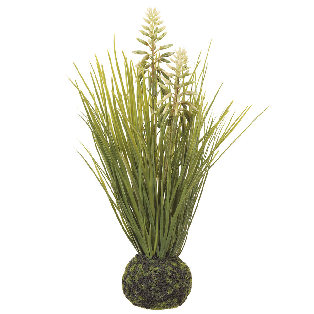 Allstate Floral 15" Blooming Sweet Flag Grass Artificial Plant with Soil Ball - White/Green