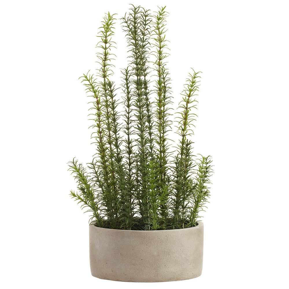 Allstate Floral 22" Rosemary Herb Artificial Plant with Cement Pot - Green