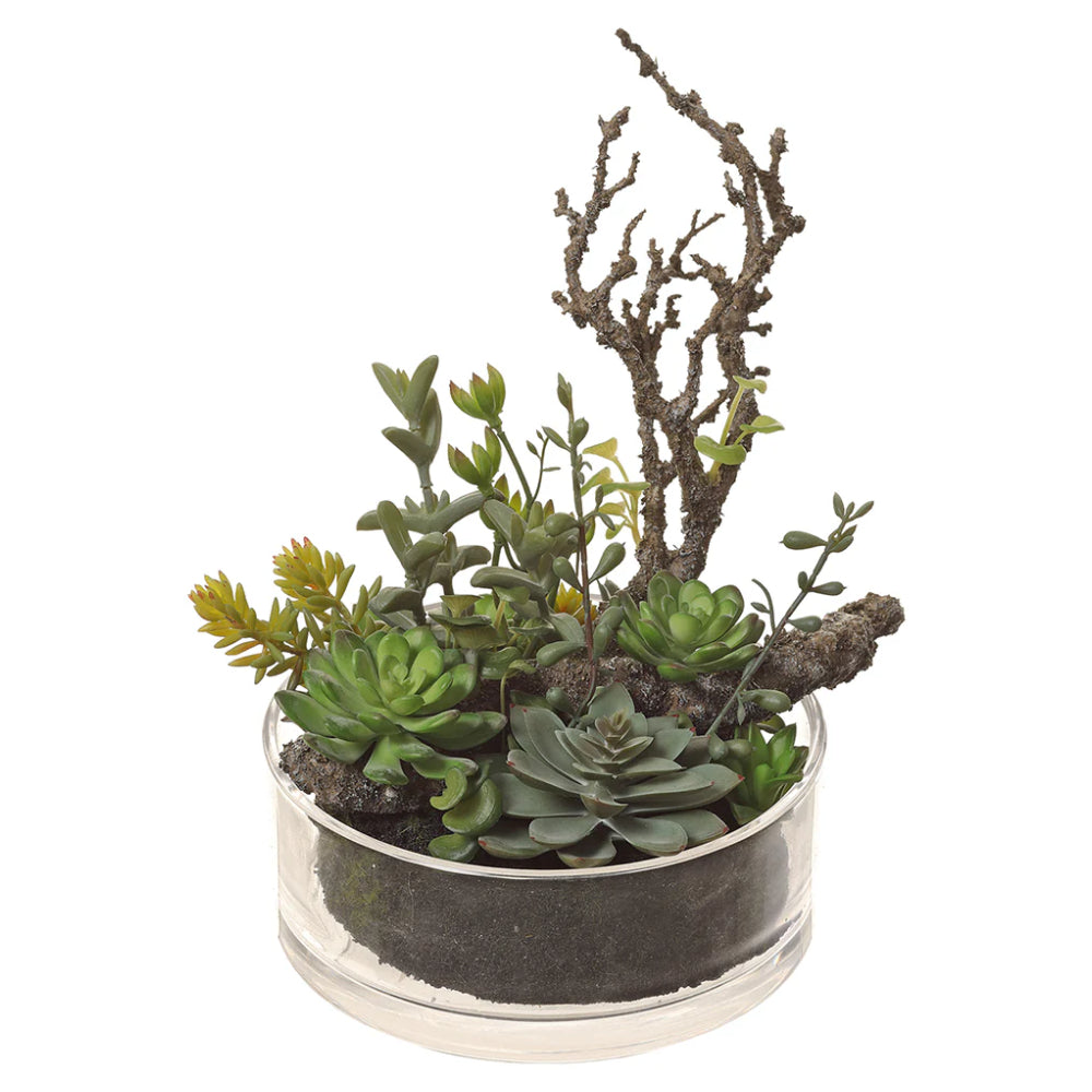 Allstate Floral 12.5" Succulent Artificial Plant with Glass Vase - Green