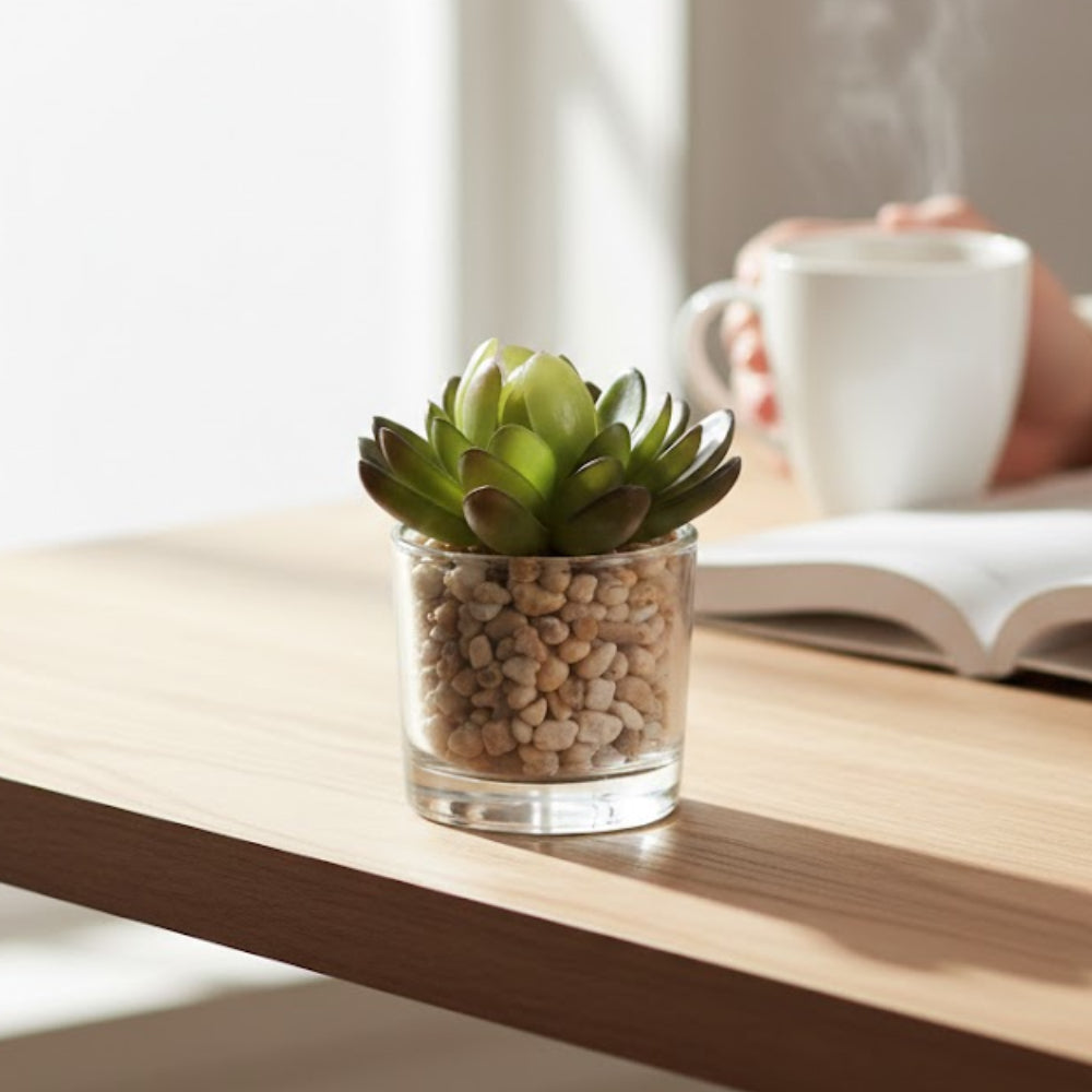 Allstate Floral Succulent Artificial Plant with Glass Vase - Assortment