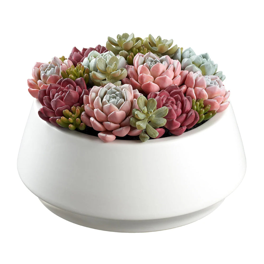Allstate Floral 6.25" Succulent Garden Artificial Plant with Ceramic Pot