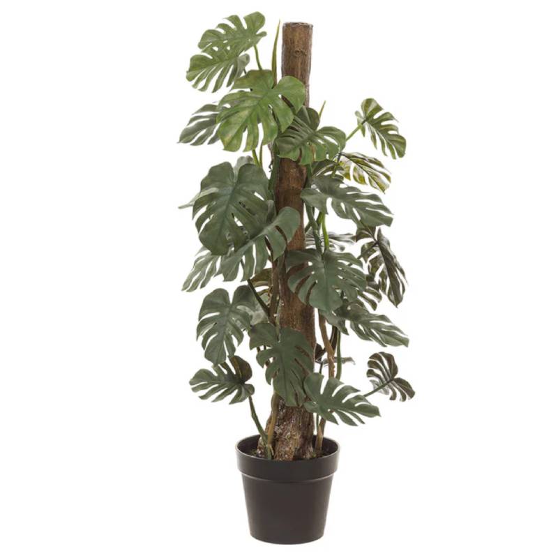 plastic monstera plant Allstate Floral 38" Split Philodendron Monstera Plant with Plastic Pot– Curacao
