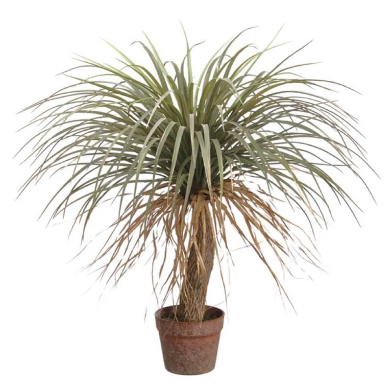 Allstate Floral 31" Desert Palm Tree with Plastic Pot - Green
