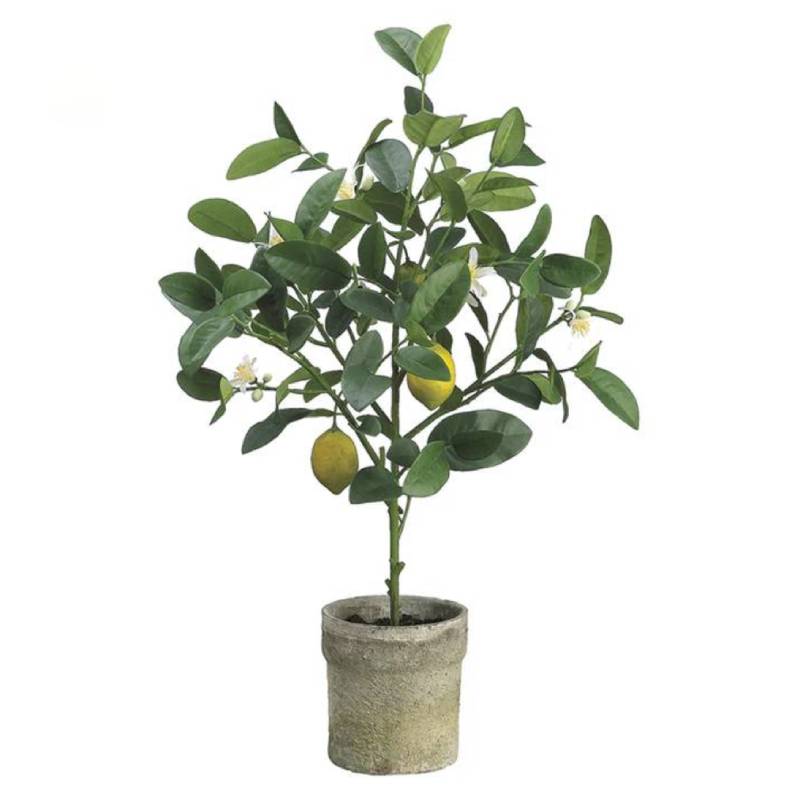 Allstate Floral 25" Lemon Topiary Fruit Tree with Clay Pot - Green