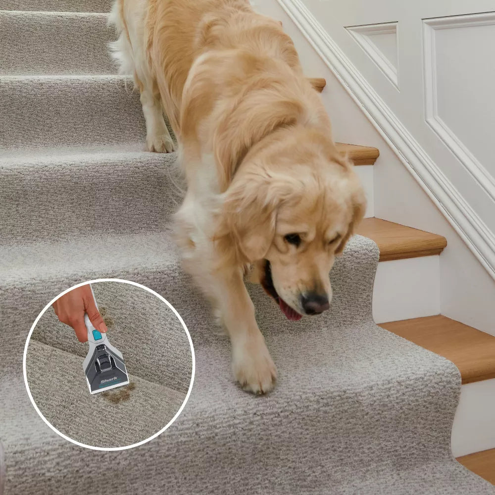 Shark 48 oz CarpetXpert Deep Clean Pro Formula Carpet Cleaner