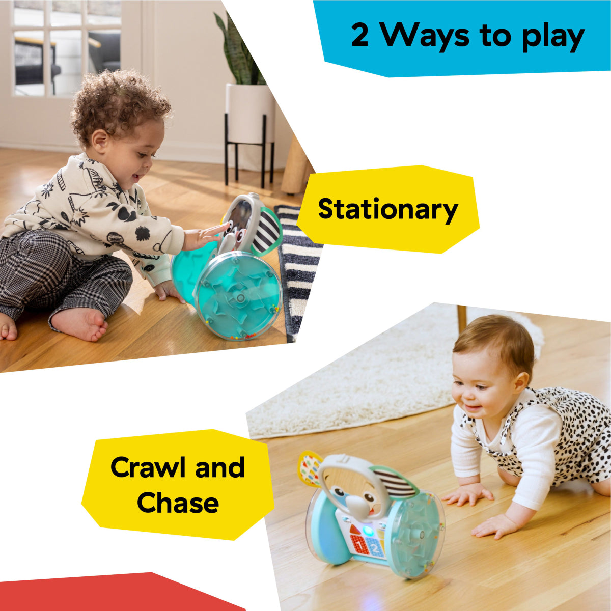 Baby Einstein Chase and Tap Earl Crawling Toy