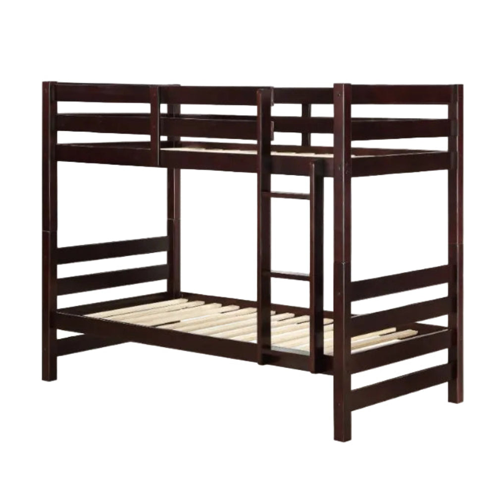 Apollo Twin over Twin Bunk Bed by Acme Furniture- Brown