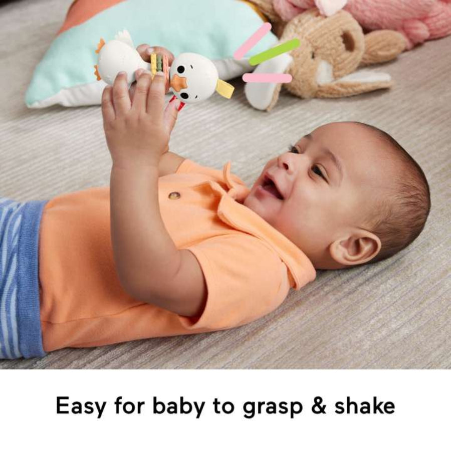 Juguete para bebé con actividad de motricidad fina Clack & Quack Goose de Fisher-Price, multicolor