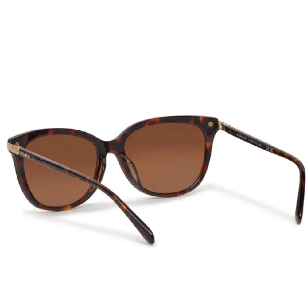 Coach Women's HC8378U51207 Cat Eye Gradient Sunglasses
