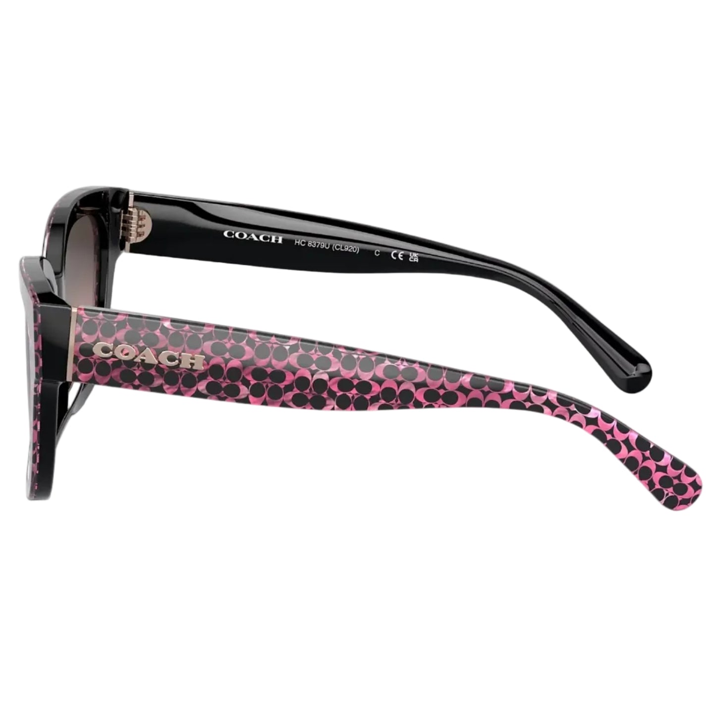 Coach Women's HC8379U57834 Butterfly Gradient Sunglasses