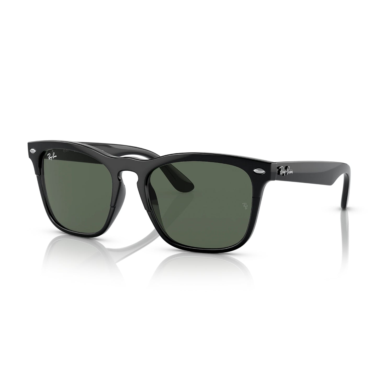 Ray-Ban Steve Unisex RB4487 Square Classic Sunglasses
