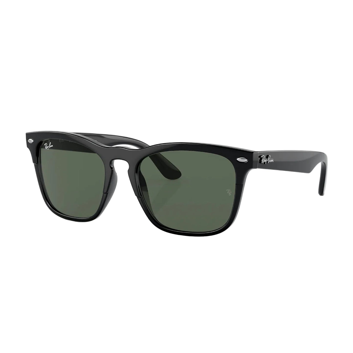 Ray-Ban Steve Unisex RB4487 Square Classic Sunglasses
